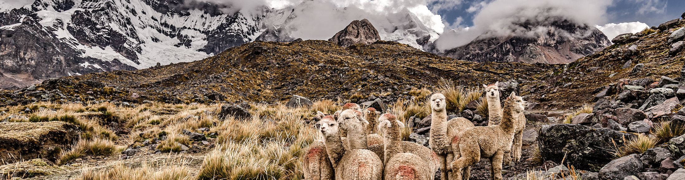 Machu Picchu 8D7N Viajero (Full Aventura Tendencia)  desde El Salvador