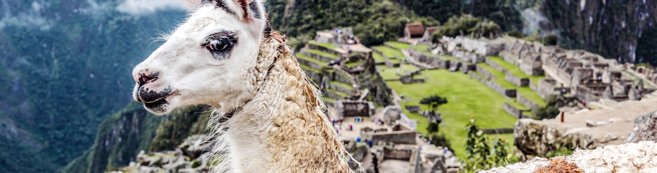 Machu Picchu 8D7N Viajero (Full Cultural)  desde El Salvador