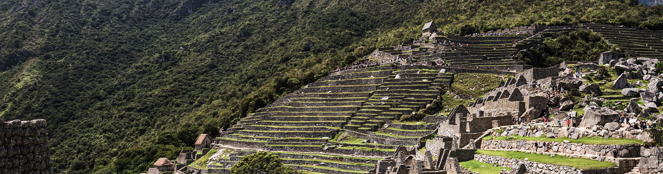 Machu Picchu 8D7N Viajero (Aventura Clásica)  desde El Salvador